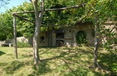 Villa con giardino (10)