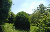 Villa con giardino (12)