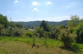 Villa con giardino (15)