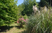 Villa con giardino (18)