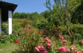 Villa con giardino (19)