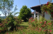 Villa con giardino (20)