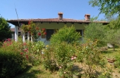 Villa con giardino (21)