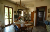 Villa con giardino (36)