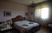 Villa con giardino (38)