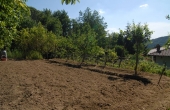 Villa con giardino (4)