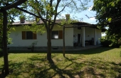 Villa con giardino (7)