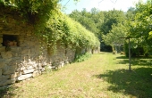 Villa con giardino (9)