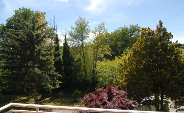 Cascina vendita langhe (33)