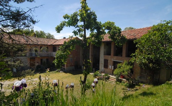 Cascina vendita langhe (11)