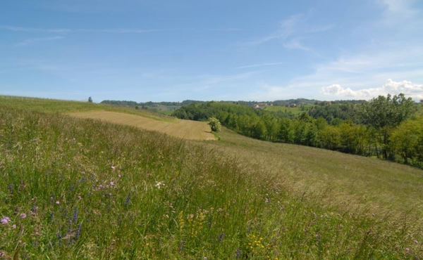 Cascina vendita langhe (16)