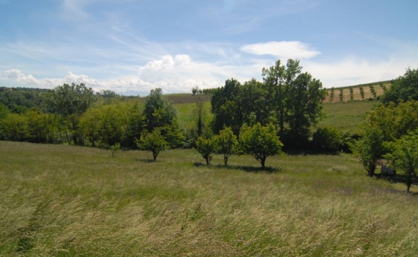 Cascina vendita langhe (17)
