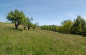 Cascina vendita langhe (1)