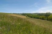 Cascina vendita langhe (16)