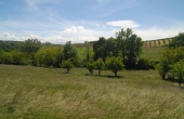 Cascina vendita langhe (17)