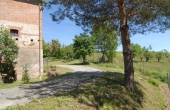 Cascina vendita langhe (7)