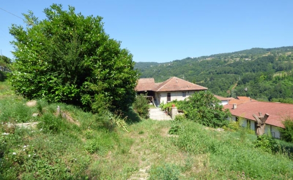 P1080877