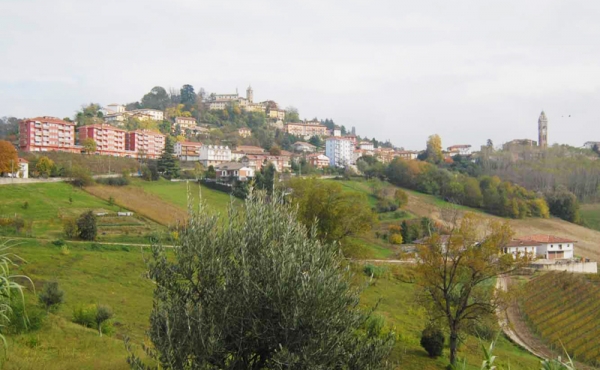 Terreno edificabile ideale per cantina