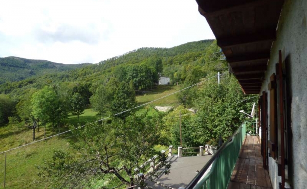 Rustici-in-pietra-con-terreno-(1)