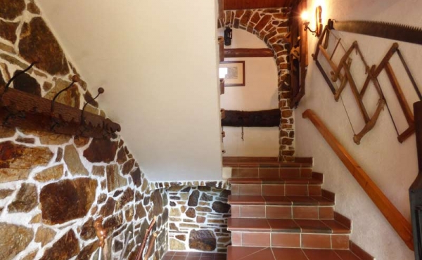 Rustici-in-pietra-con-terreno-(46)