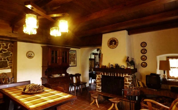 Rustici-in-pietra-con-terreno-(54)