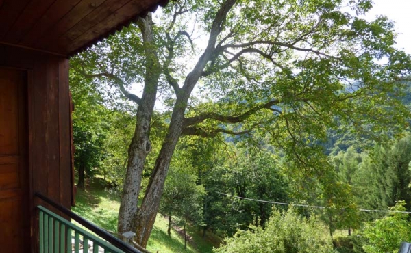 Rustici-in-pietra-con-terreno-(59)