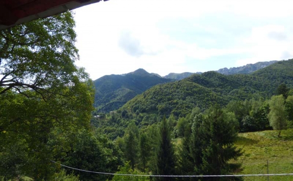 Rustici-in-pietra-con-terreno-(9)