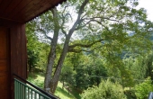 Rustici-in-pietra-con-terreno-(59)
