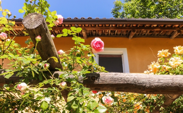 casa-vendita-monferrato-(27)