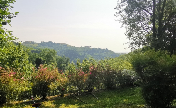 casa-vendita-monferrato-(5)