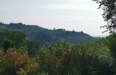 casa-vendita-monferrato-(6)