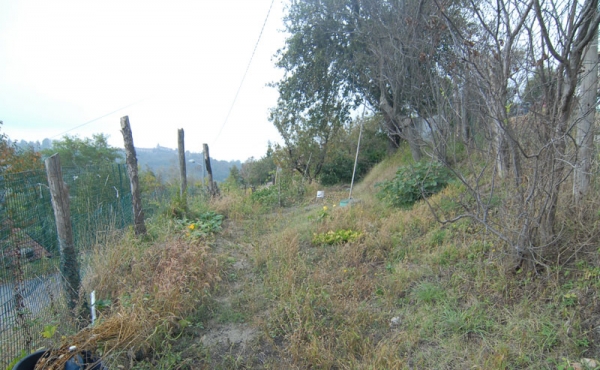 Casa vendita langhe (1)