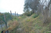 Casa vendita langhe (1)