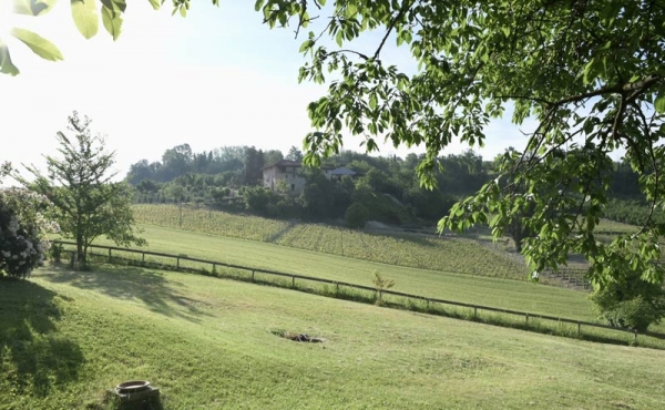 cascina vendita dogliani (14)