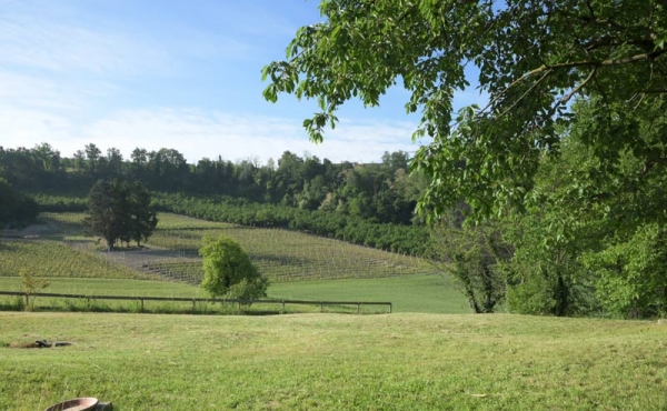cascina vendita dogliani (15)