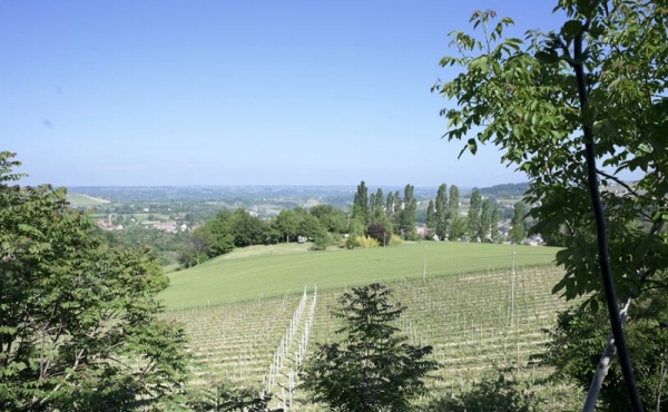 cascina vendita dogliani (19)