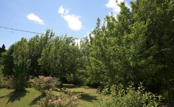 cascina vendita dogliani (32)