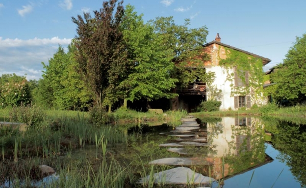 cascina vendita dogliani (66)