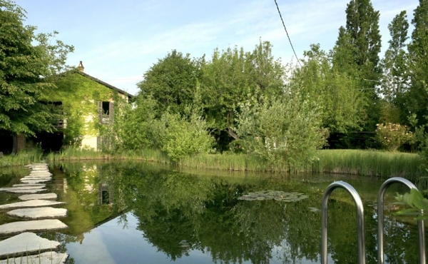 cascina vendita dogliani (9)