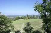 cascina vendita dogliani (19)