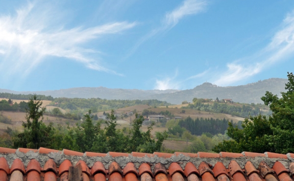 casa-vendita-langhe (26)