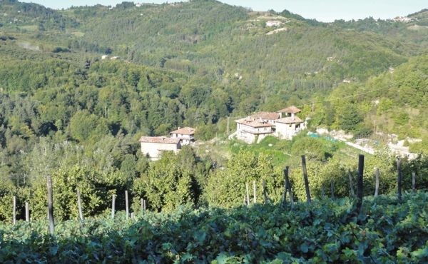 borgo-vendita-langhe (6)