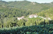 borgo-vendita-langhe (6)