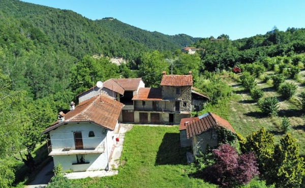 Cascina a corte con terreno (33)