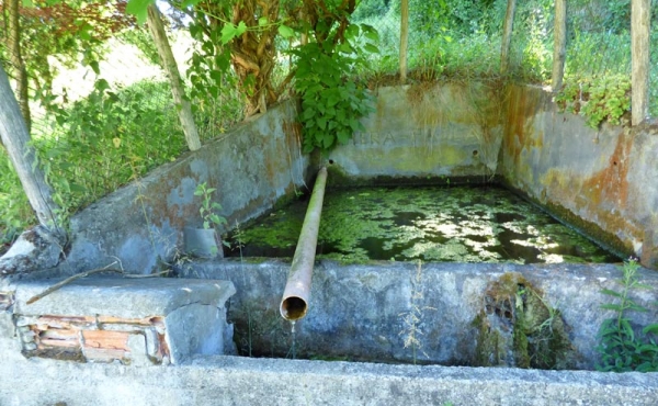 Cascina a corte con terreno (4)