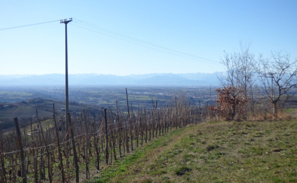 cascina_vendita_langhe (13)