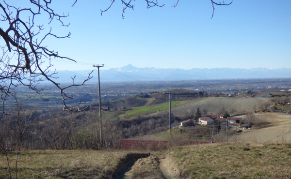cascina_vendita_langhe (14)