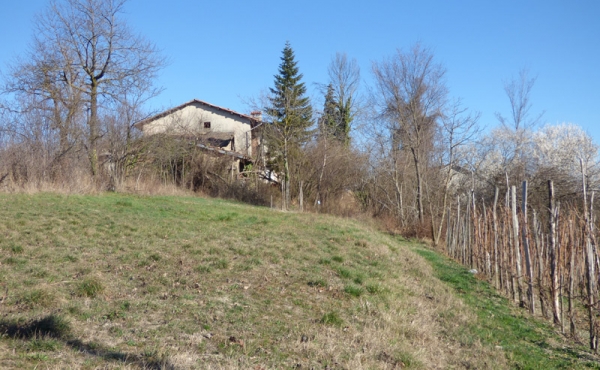 cascina_vendita_langhe (15)