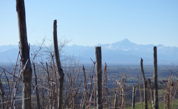 cascina_vendita_langhe (17)