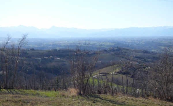cascina_vendita_langhe (20)